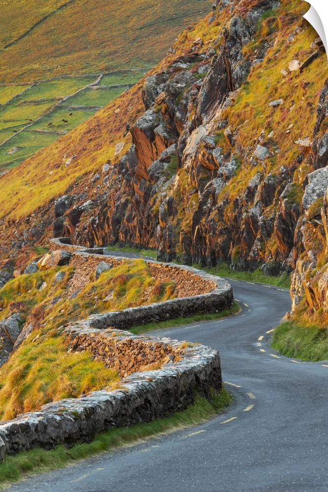Ireland, Co.Kerry, Dingle, Slea Head, winding country road