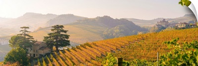 Italy, Piedmont, Cuneo District, Barolo, Langhe Barolo At Sunrise