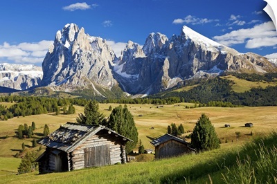Italy, Trentino-Alto Adige, South Tyrol, Bolzano district, Seiser Alm, Sassolungo