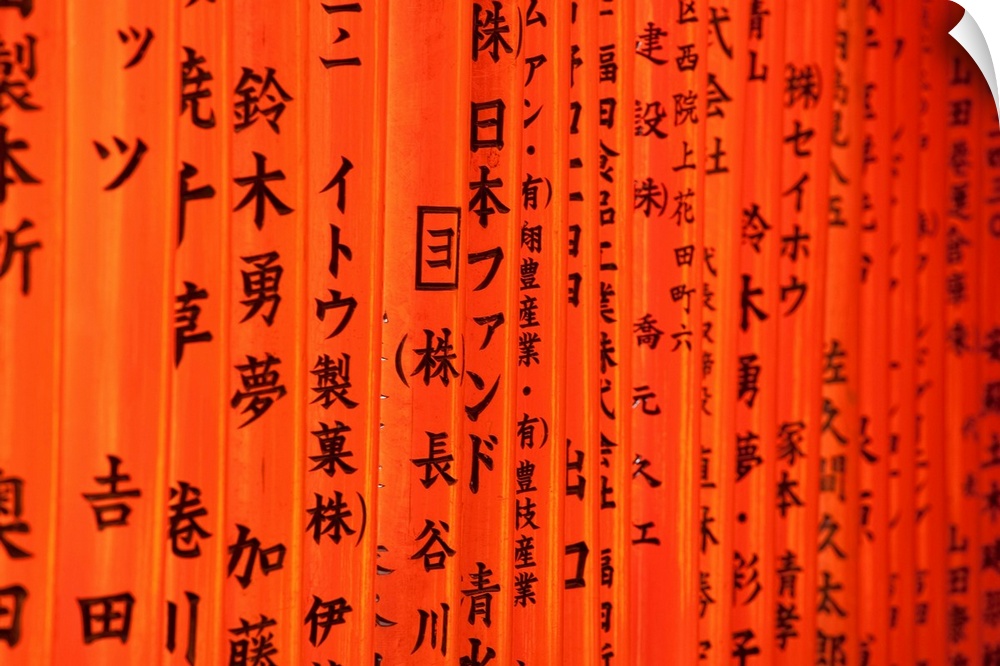 Japan, Kyoto, Fushimi-ku. Fushimi Inari Taisha shrine dedicated to Inari, the Shinto Rice God, detail of Tori gates