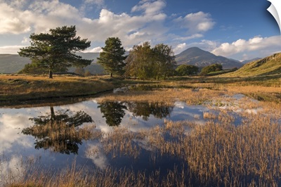 Kelly Hall Tarn and the Coniston Old Man, Lake District, Cumbria, England.