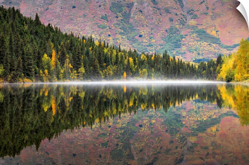 Kenai Peninsula, Alaska, United States Of America