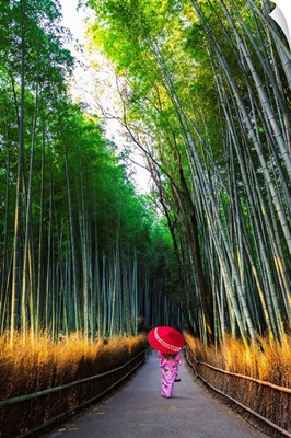 Kyoto, Japan, Woman In Traditional Kimono Walking In The Bamboo Grove At Sunrise