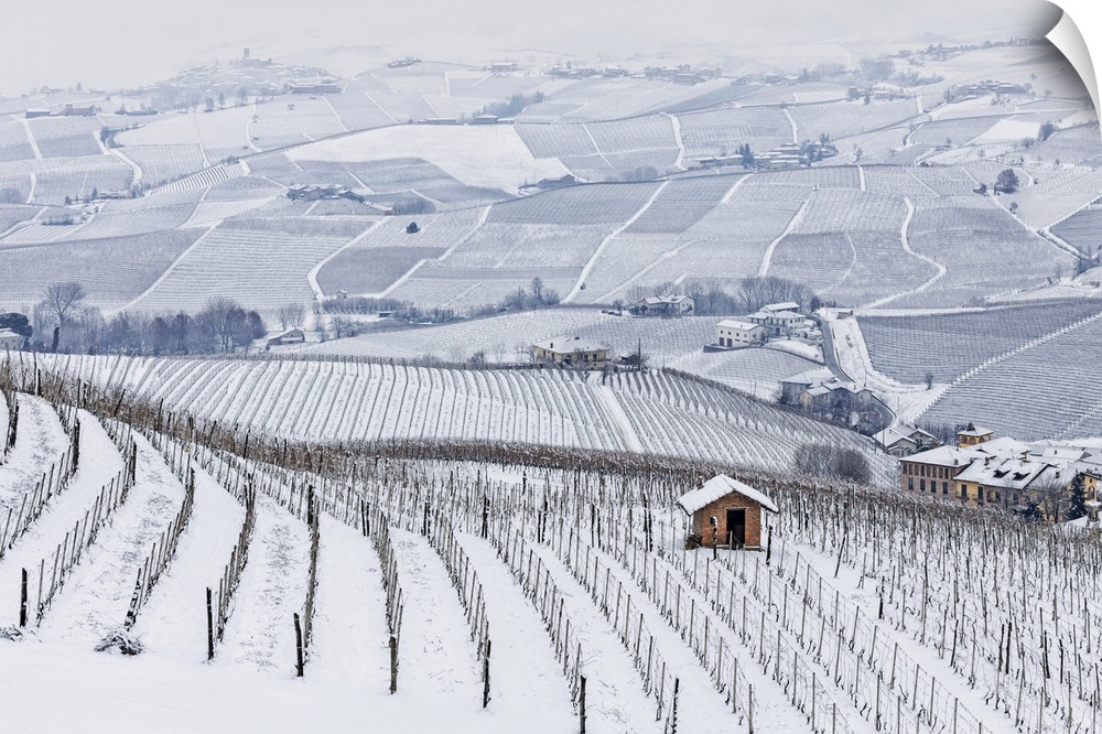 Langhe, Cuneo district, Piedmont, Italy. Langhe wine region winter snow