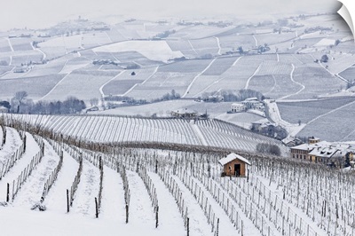 Langhe, Cuneo District, Piedmont, Italy, Langhe Wine Region Winter Snow