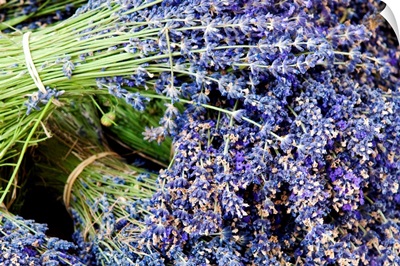 Lavender bundles for sale in Roussillon, Sault, Provence, France
