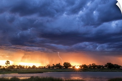 Lightning Shoots From A Summer Thunderstorm, Okavango Delta, Botswana