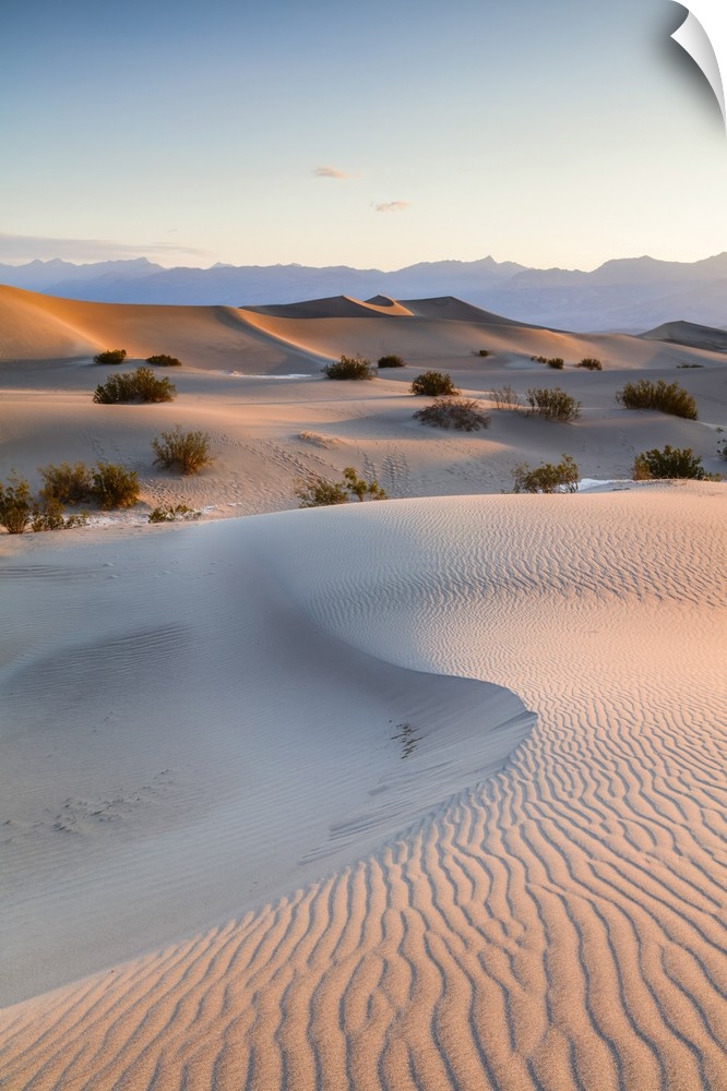 Mesquite Flat Sand Dunes, Death valley National park, California, USA