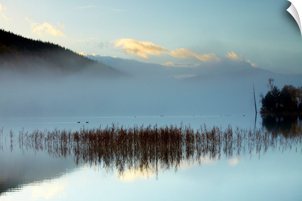Mist Over Loch Pityoulish, Highland Region, Scotland
