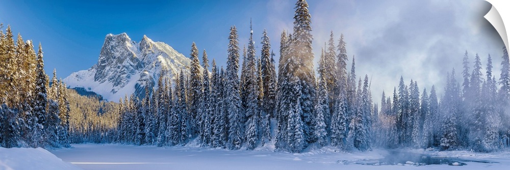 Mt. Burgess And Snow-Covered Pine Trees, Yoho National Park, British Columbia, Canada