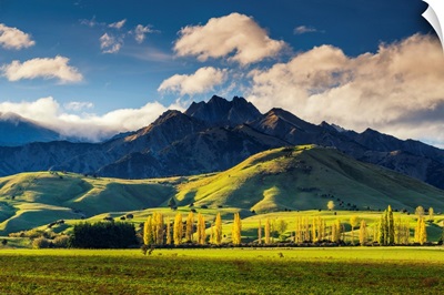 Mt. Burke, Near Wanaka, New Zealand