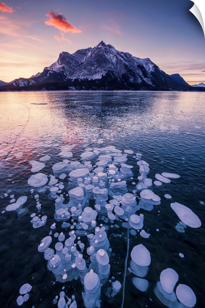 Mt. Michener And Frozen Bubbles In Abraham Lake At Sunrise, Kootenay Plains, Alberta, Canada