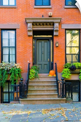 New York, Brooklyn, Brooklyn Heights, Halloween Pumpkins
