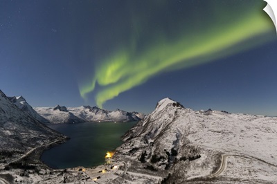 Northern lights at Mefjordbotn, Berg, Senja, Norway, Europe