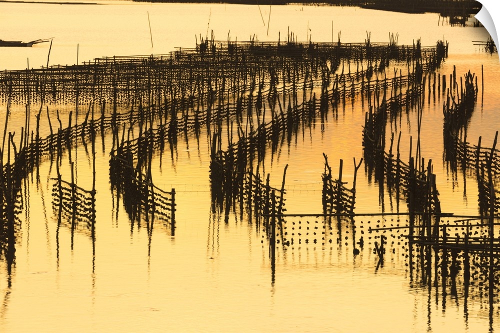 Oyster beds at sunset, Halong Bay, Quang Ninh Province, North-East Vietnam, South-East Asia