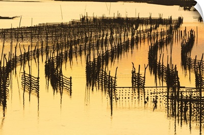 Oyster beds at sunset, Halong Bay, Quang Ninh Province, North-East Vietnam