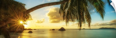 Palm Tree At Sunset, Anse Lazio Beach, Praslin, Seychelles