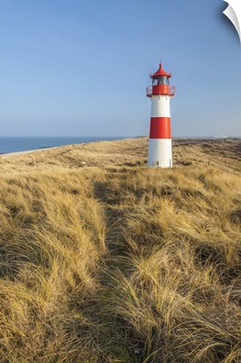 Path On The Dune To The List-Ost Lighthouse, Sylt, Schleswig-Holstein, Germany