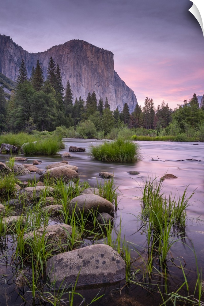 Pink twilight over the River Merced at Valley View, Yosemite National Park, California, USA. Spring