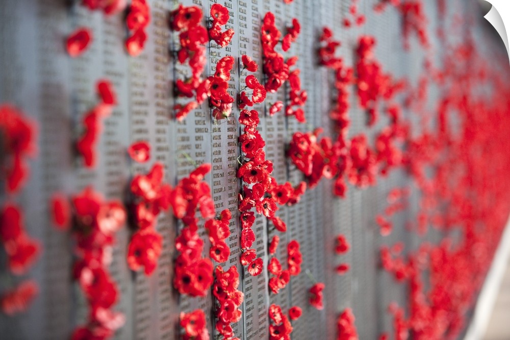 Australia, Australian Capital Territory (ACT), Canberra. Poppies adorning the Roll of Honour walls in the Australian War M...