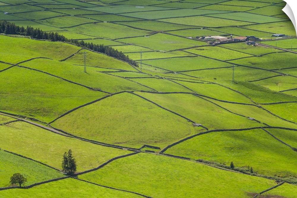 Portugal, Azores, Terceira Island, Serra do Cume of fields, springtime