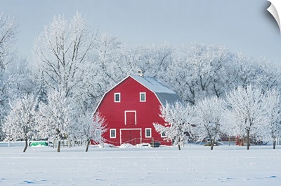 Red Barn With Rime Ice, Grande Pointe Manitoba, Canada