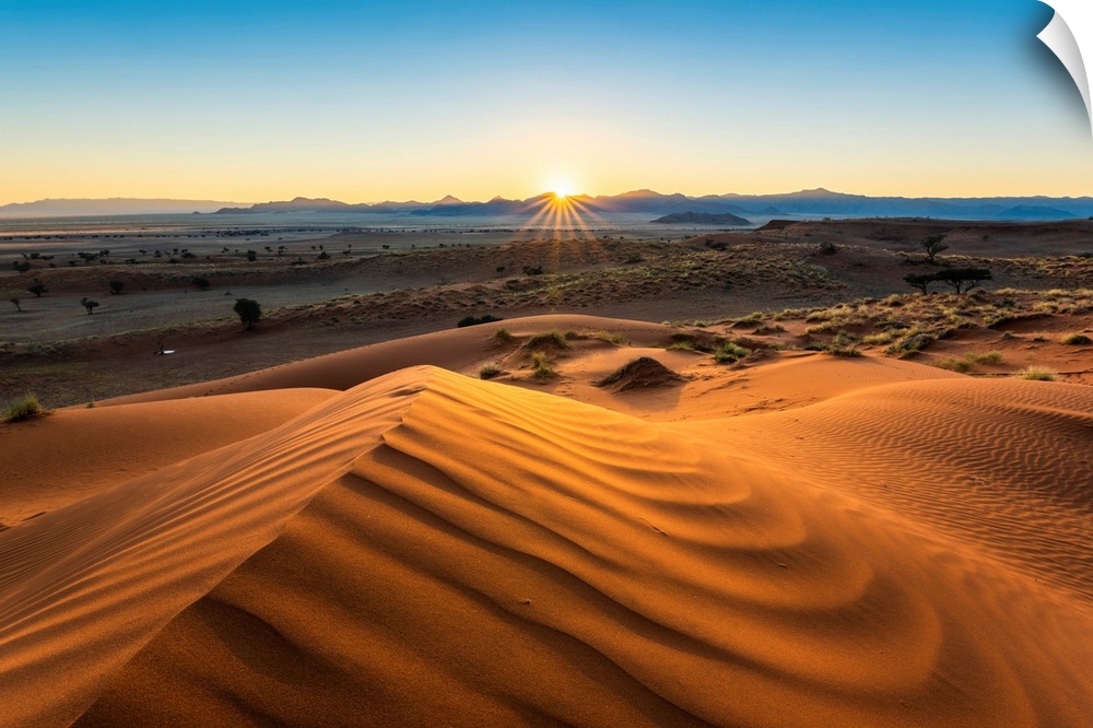 Namib-Naukluft National Park, Namibia, Africa. Petrified Red Dunes. Ripples Of Sand At Sunrise.