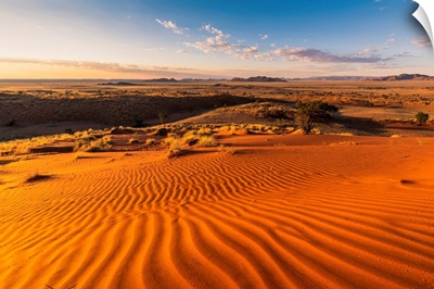 Ripples Of Sand On A Petrified Dune At Sunset, Namib-Naukluft National Park, Africa