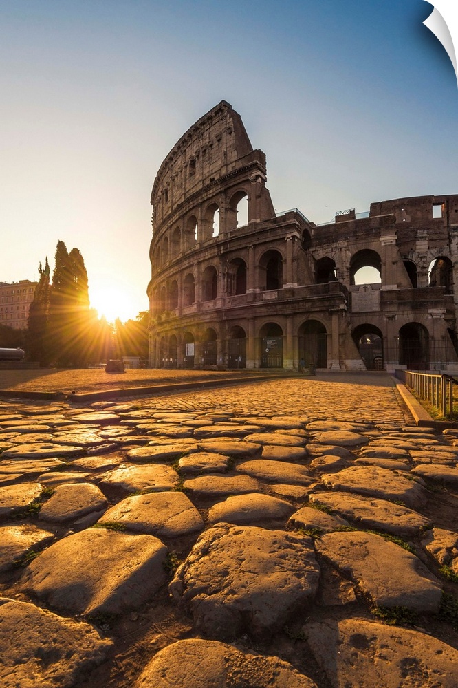 Rome, Lazio, Italy. Colosseum at summer sunrise.