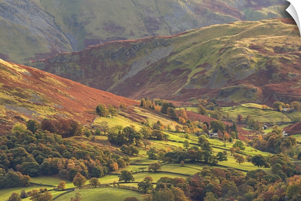 Rural farmland below Cumbrian mountains, Martindale, Lake District, Cumbria, England. Autumn (November) 2016