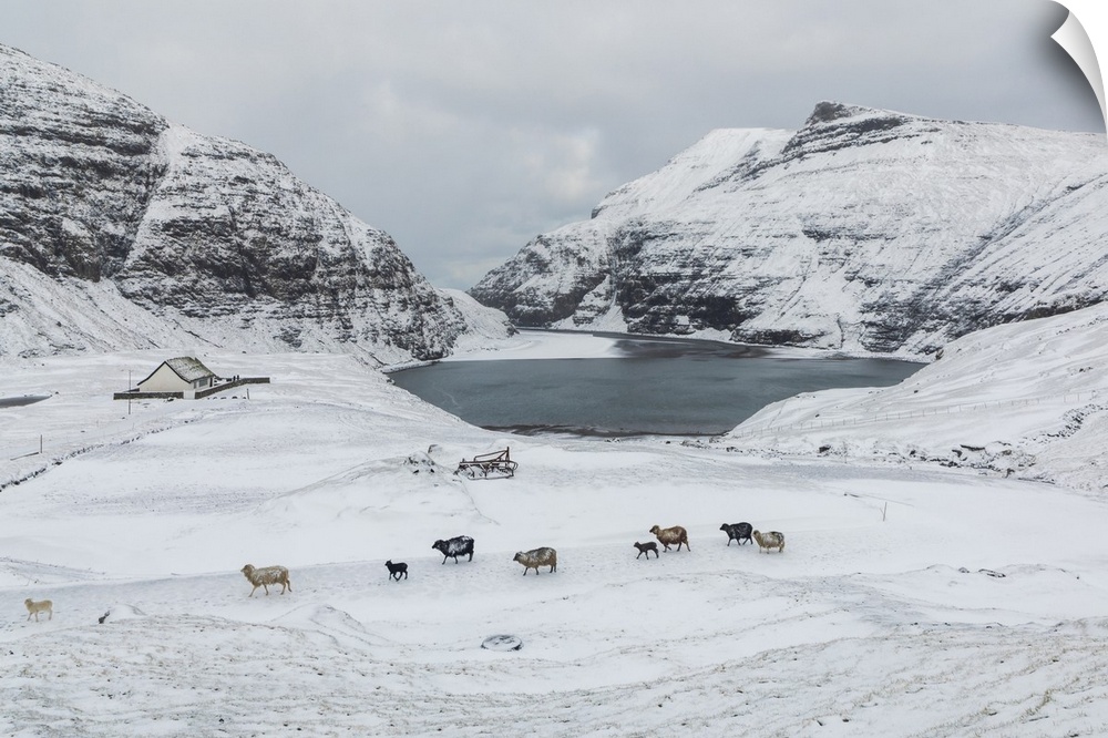 Saksun covered by snow in the mid of May. Streymoy, Faroe Islands