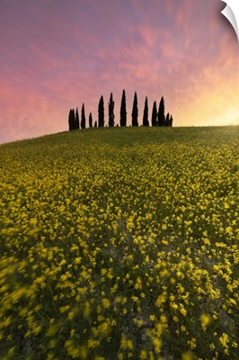 San Quirico d'Orcia During A Spring Sunset, Siena Province, Tuscany, Italy