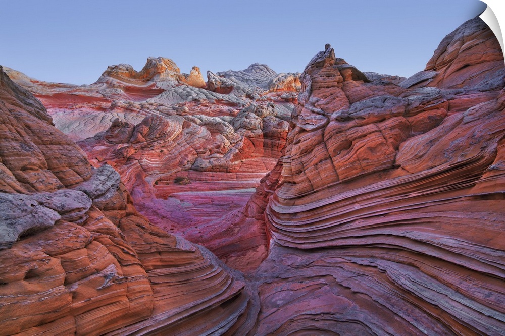 Sandstone erosion landscape in White Pocket. USA, Arizona, Coconino, Vermillion Cliffs, White Pocket. Colorado Plateau, Gr...