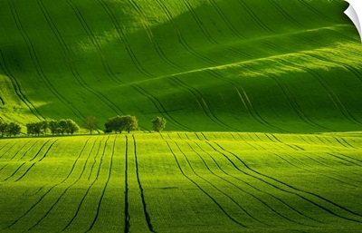 Scenic View Of Green Rolling Hills Near Kyjov, Moravia, Czech Republic