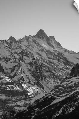 Schreckhorn, Grindelwald, Jungfrau Region, Berner Oberland, Switzerland