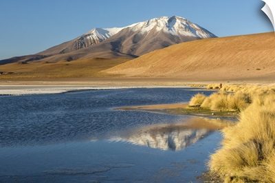 South America, Andes, Altiplano, Bolivia, Laguna Hedionda with Ollague Volcano