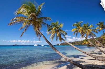 St Vincent And The Grenadines, Mustique, Brittania Bay Beach