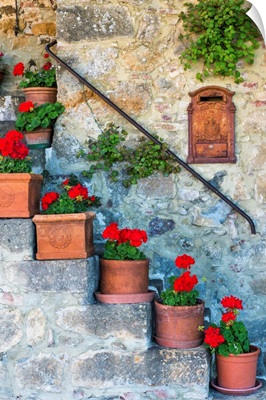 Staircase Of Geraniums, Tuscany, Italy