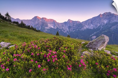 Summer Season In Orobie Alps, Zulino Pass In Lombardy District, Bergamo Province, Italy