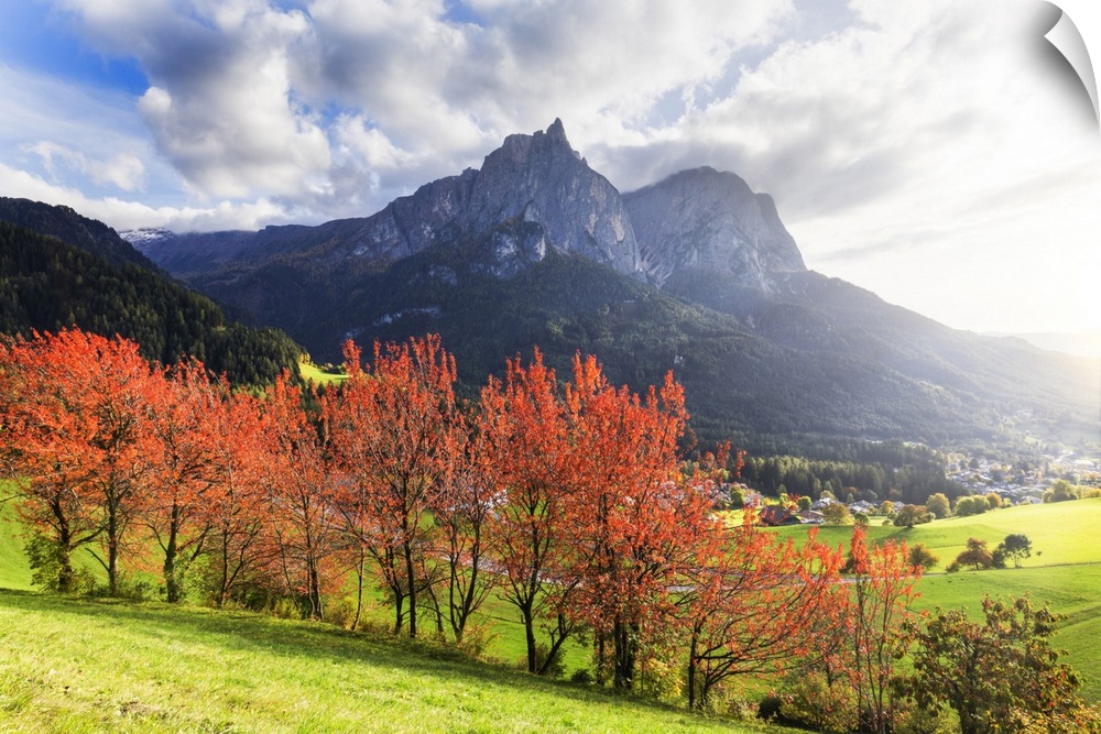 Sunlight illuminates red leafs of cherry trees. Siusi allo Sciliar, Dolomites, province of Bolzano, South Tirol, Italy, Eu...