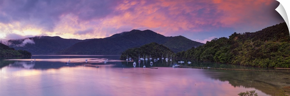 Sunset illuminates the picturesque Ngakuta Bay, Queen Charlotte Sound, Marlborough Sounds, South Island, New Zealand