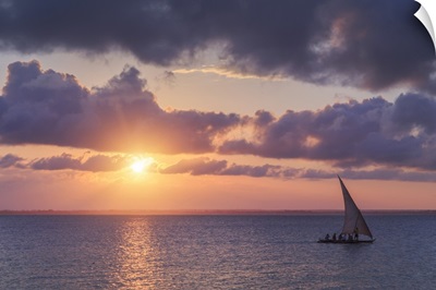 Tanzania. Zanzibar, Michamvi Village, traditional Dhows sailing at sunset