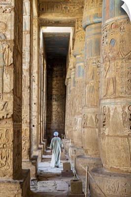 Temple Guardian At The Temple Of Ramses III On The Nile At Luxor, Egypt,
