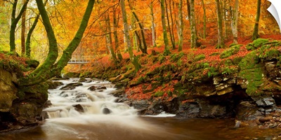 The Birks Of Aberfeldy In Autumn, Aberfeldy, Tayside Region, Scotland