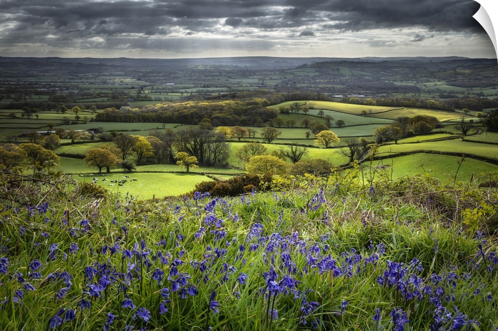The Marshwood Vale in spring from Coney's Castle, Dorset, England, UK