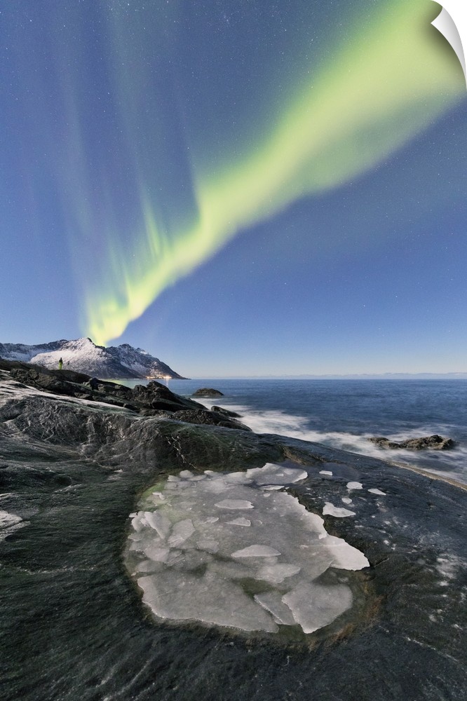 The Northern Lights illuminates the rocky peaks and icy sea in the polar night Tungeneset Senja Tromso Norway Europe