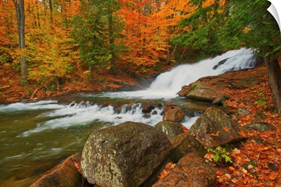 The Skeleton River At Hatchery Falls In Autumn, Rosseau, Ontario, Canada