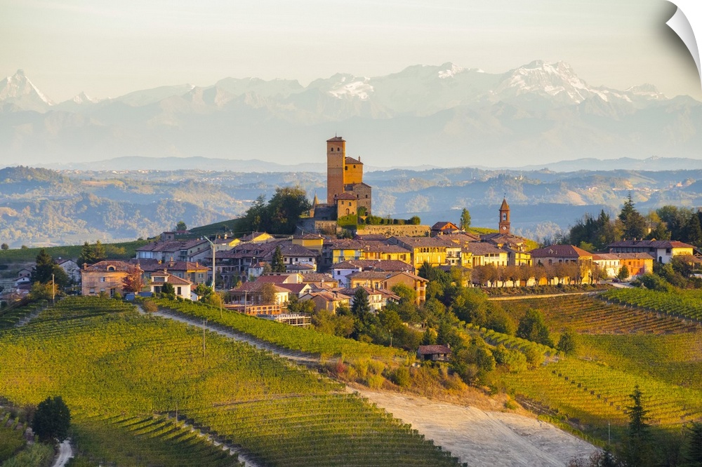 The vineyards of Serralunga d'Alba and Alps in background during autumn sunrise, Serralunga d'Alba, Langhe, Cuneo district...