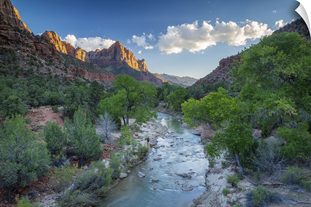 The Watchman mountain and Virgin river, Zion National Park, Utah, USA.