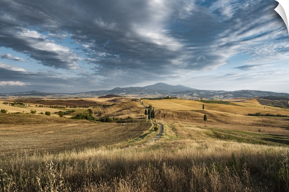 Tuscan landscape, Val d'Orcia, Siena province, Tuscany, Italy.
